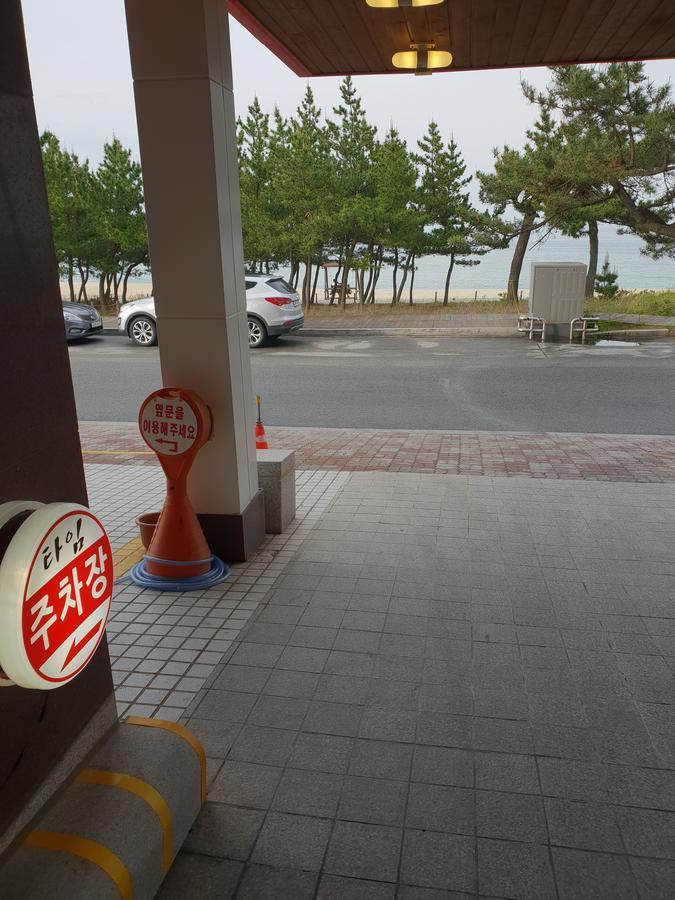 Time Motel Gangneung Eksteriør billede