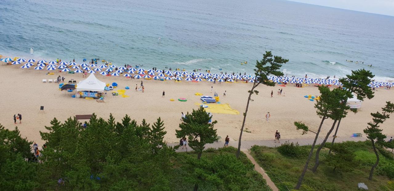 Time Motel Gangneung Eksteriør billede