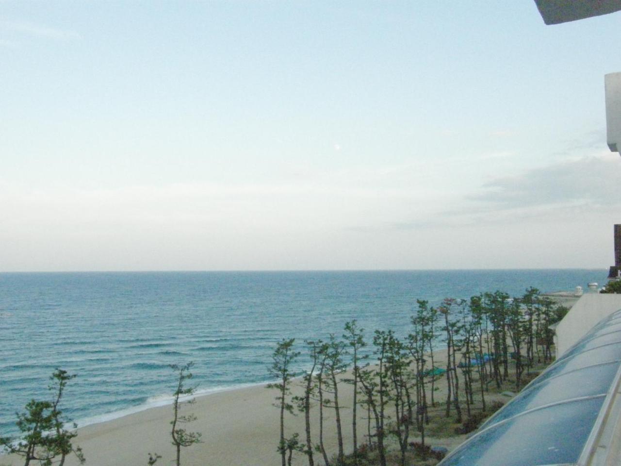 Time Motel Gangneung Eksteriør billede